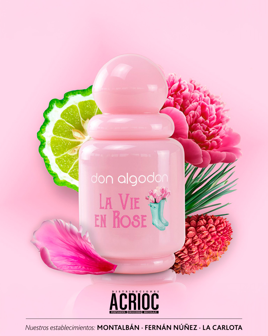 La Vie en Rose · Don Algodón